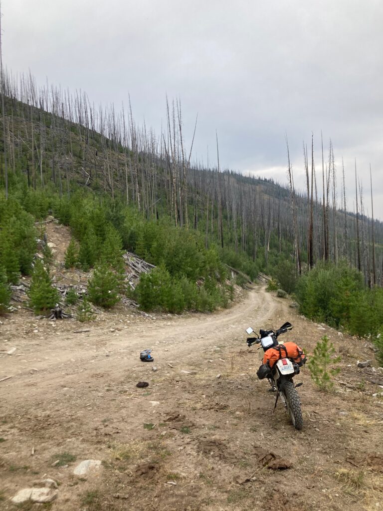 Parked on the side of the trail in National Forest land that had experienced a significant burn event within the last 10 years.