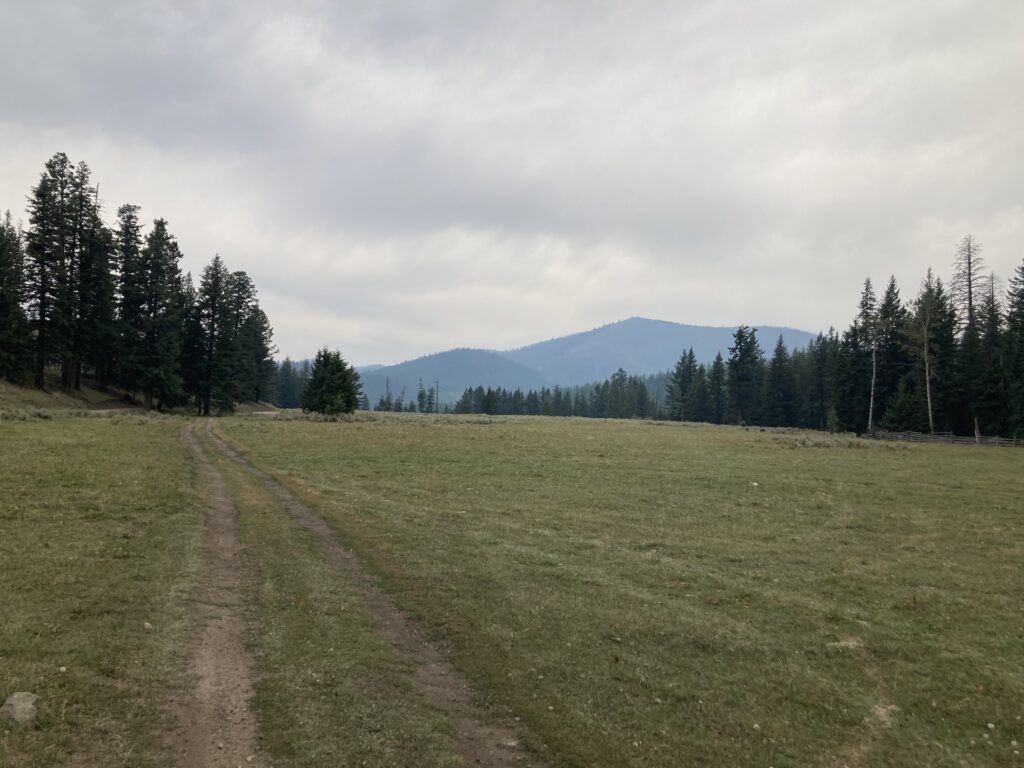 I rode through this grassy meadow as I began to drop into Conconully.