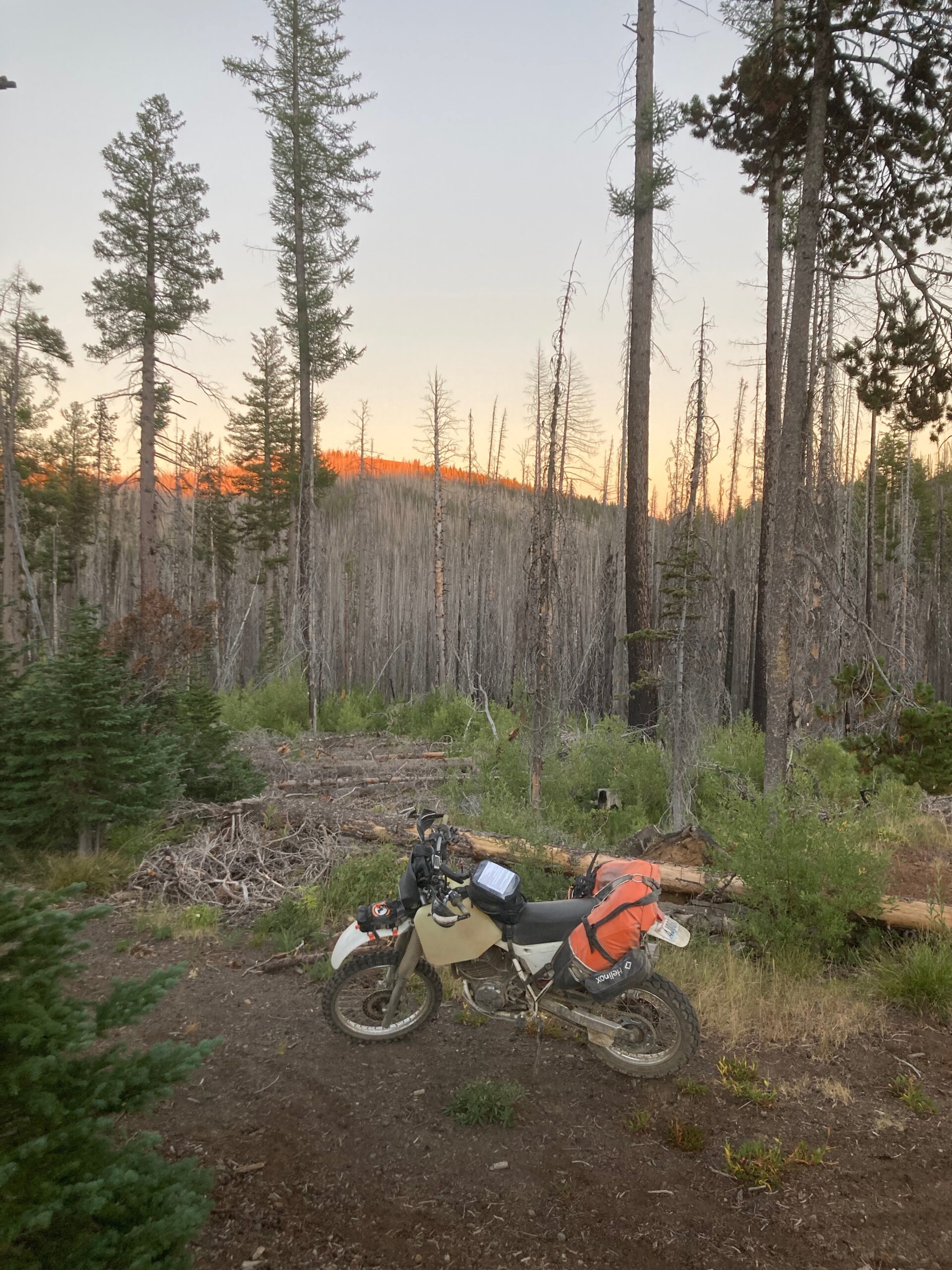 Alpenglow Camp