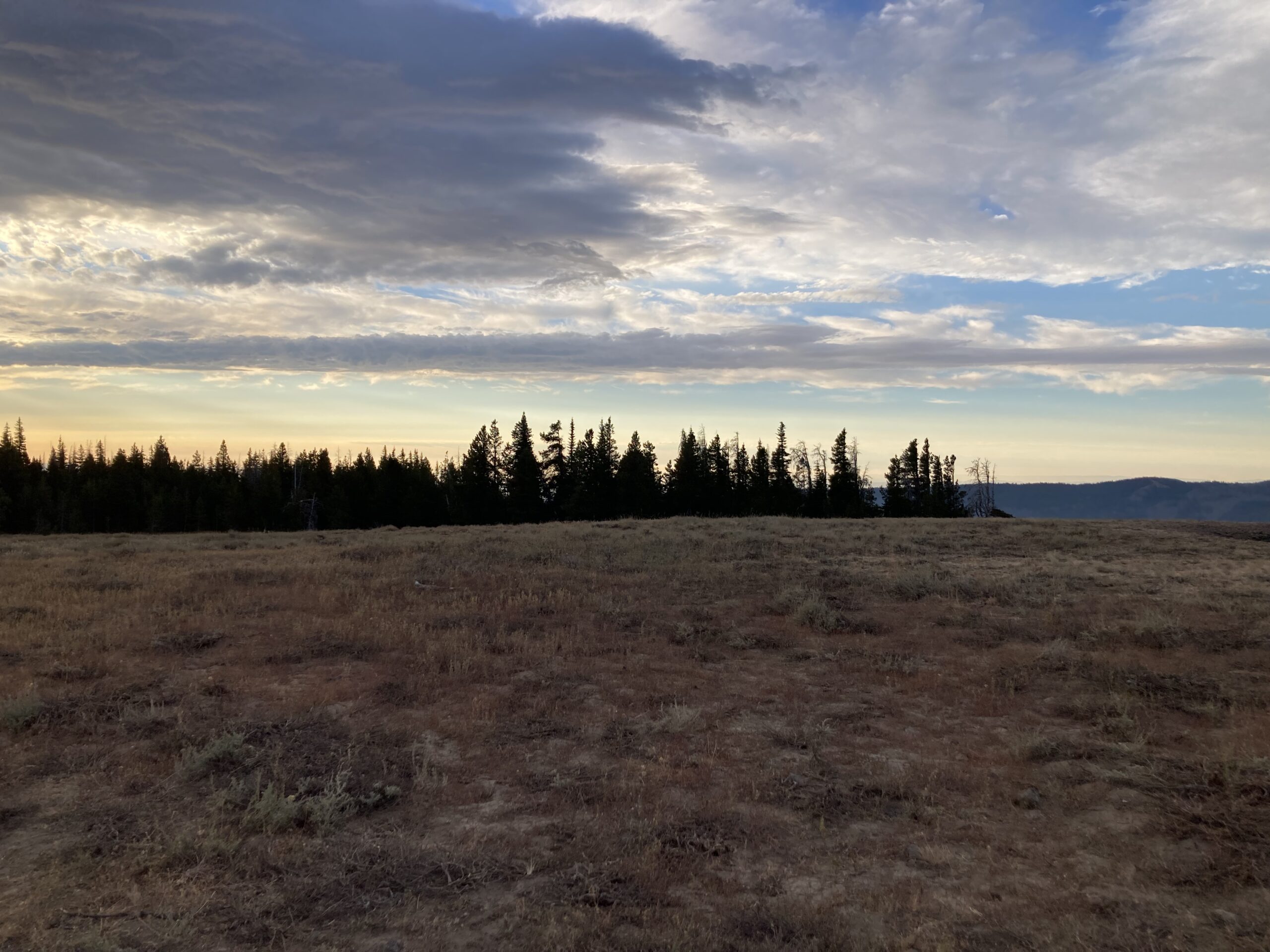 Alpine Morning on Bethel Ridge