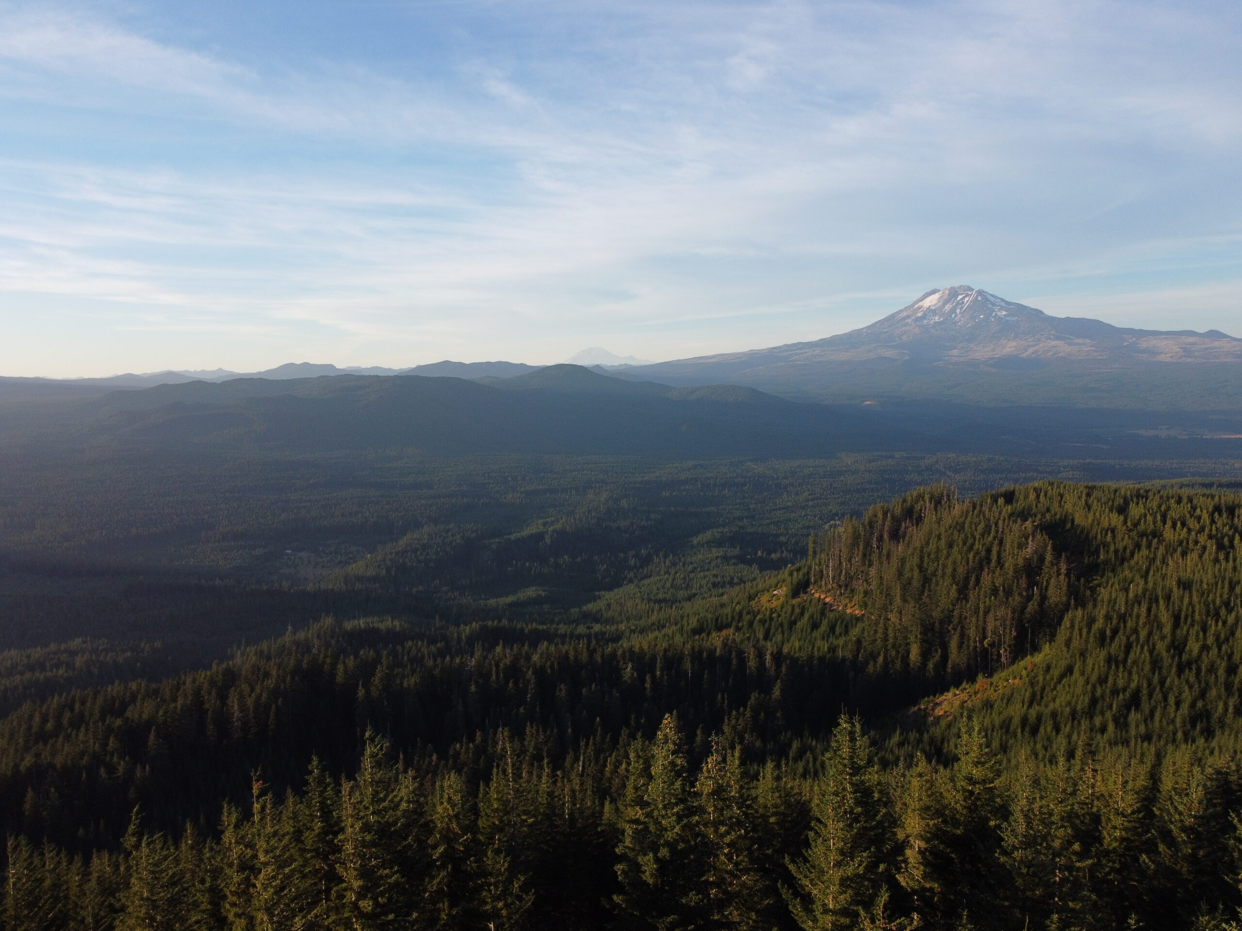 Mt. Adams from the WABDR